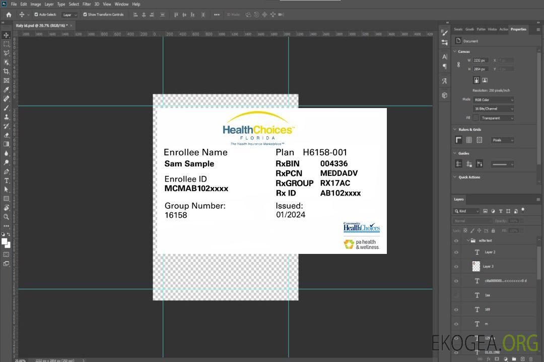 Carte d'assurance maladie de Floride template